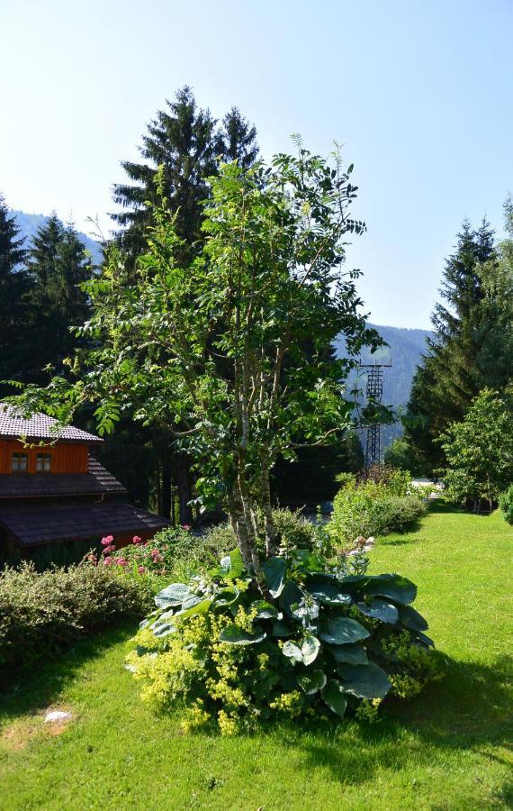 Die Kalsbergerin Ferienwohnung Fuer Geniesser Donnersbachwald Exterior photo